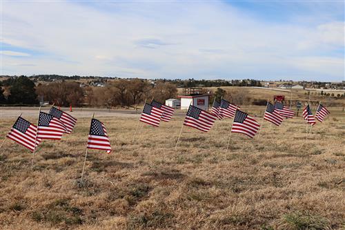  62 flags honor veterans at EMS after an NJHS fundraiser for DAV